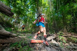 BIB: 
                            <button type="button" onclick="openModal(19390084)" class="btn btn-primary btn-sm float-right btn-popup" data-toggle="modal" data-target=".modal-high-quality">
                        <i class="fas fa-shopping-cart"></i> Add to Cart
                    </button>
                                            <button type="button" onclick="isThisMe(19390084, true)" class="btn btn-success btn-sm float-right btn-popup btn-isme hidden" data-toggle="tooltip" data-placement="bottom" title="นี่คือรูปของคุณใช่ไหม คลิกที่นี่เพื่อเอาเข้าอัลบั้ม">
                        <i class="fas fa-plus"></i> Add to album
                    </button>
                    <button type="button" onclick="isThisMe(19390084, false)" class="btn btn-warning btn-sm float-right btn-popup btn-isnotme hidden">
                        <i class="fas fa-ban"></i> Remove from album
                    </button>